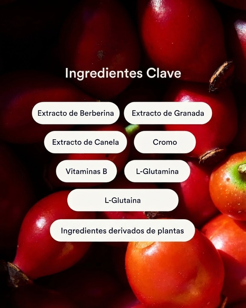 Parche GLP-1 Natural — El Cambio que Tu Cuerpo Estaba Esperando