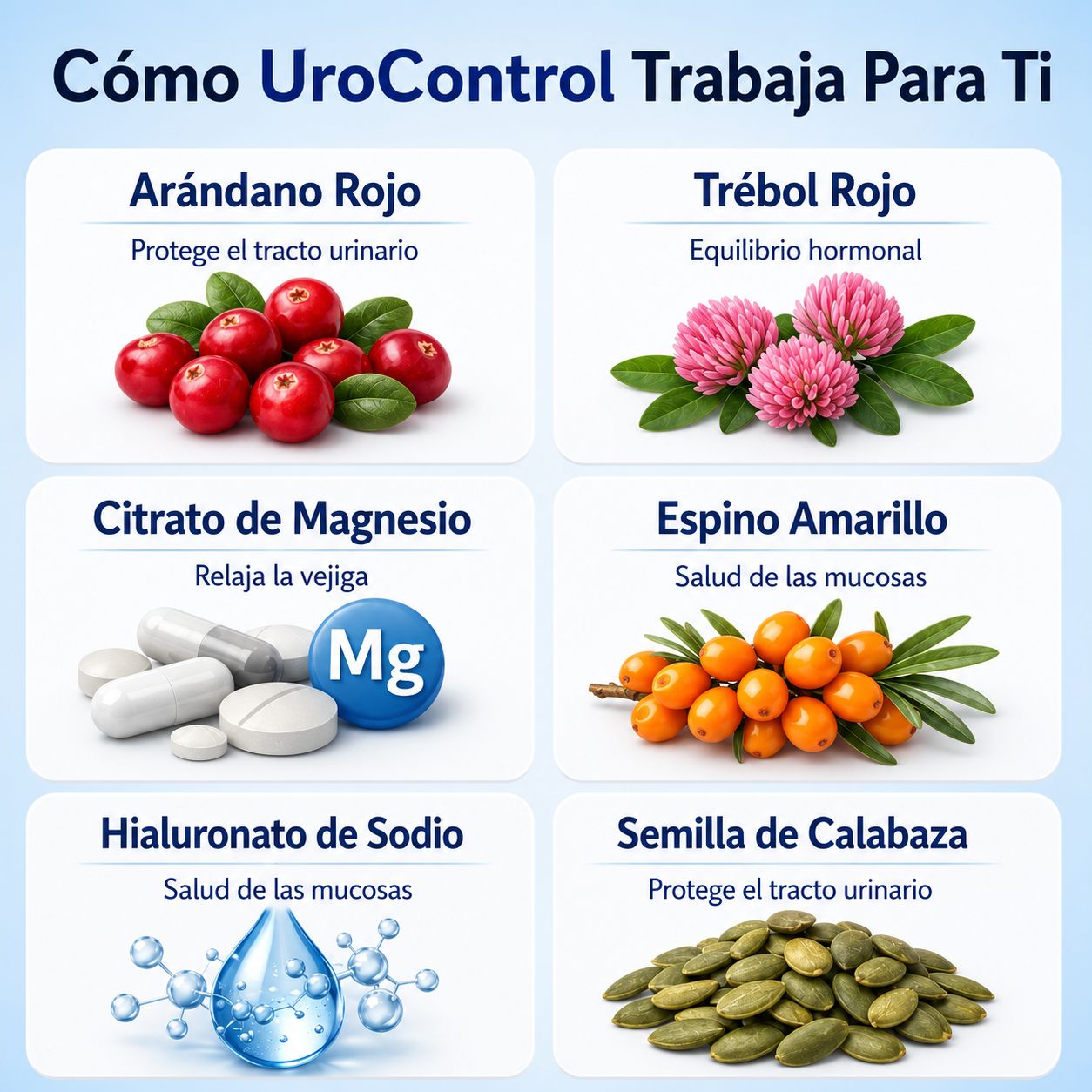 LOVY® UroControl — Dejá de Correr al Baño. Viví sin Urgencias.